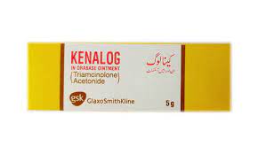 Kenalog Oral Base Irfan Traders
