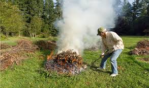 L'aménagement paysager en 2021 est une continuation obligatoire de l'architecture et fait partie intégrante de l'extérieur de la maison dans son ensemble. Pollution De L Air Pourquoi Il Ne Faut Pas Bruler Ses Dechets De Jardin