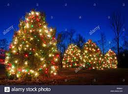 Red Green And White Christmas Lights Outdoor Christmas Trees Have Been Decorated With Red Green And White Lights And Shot Against A Brilliant Blue Sky Stock Photo Alamy