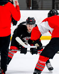 Huntsville Havoc added a new photo.