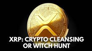 Ripple has huge potentials to grow and it might be a good investment, ripples xrp attracts a lot of attention from major financial institutions, and its use has increased amongst multinational banks. Is The Xrp Crash A Start Of Crypto Cleansing Or A Crypto Witch Hunt Video