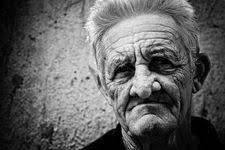 Jay Dorfman Photography (dorfmanjay)