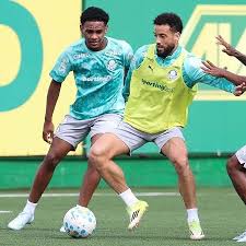 Palmeiras pode relacionar joia punida pela Conmebol em jogo do Brasileirão