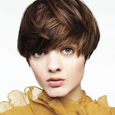 Smart style family hair salon. Very Short Straight Hair 2019 Short Straight Hair Womens Hairstyles Straight Hairstyles
