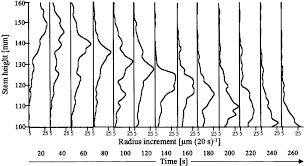 Image result for Xylopia wilwerthii