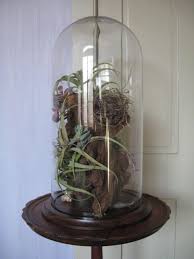 Large Terrarium With Driftwood Bird S Nest And Feathers Shells Airplants And Succulents Designed By Le Reve Fl Large Terrarium Glass Domes Large Glass Dome