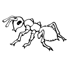 Ant Coloring Page For Kids With Images Coloring Pages To Print Coloring Pages For Kids Farm Coloring Pages