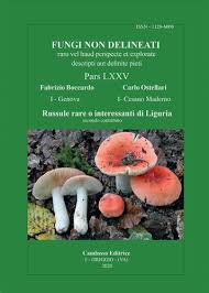 Image result for Russula perlactea