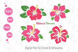 Download Hibiscus Svg Hawaii Flower Svg Summer Flower Svg Dxf Png 1299468 Cut Files Design Bundles