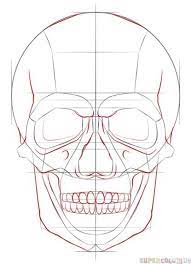 How to draw a skull step by step. How To Draw A Human Skull Step By Step Drawing Tutorials For Kids And Beginners Skulls Drawing Skull Sketch Drawing Tutorial