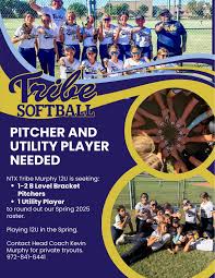 If your 12U team is not going to make or has too many players where play  time is limited, please reach out to see how we at NTX Tribe can help with