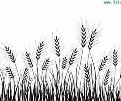 Sketsa bunga gambar bunga cantik hitam putih daun bunga hitam dan putih gambar vektor gratis di pixabay 379 free compass rose vector public domain vectors. 29 Gambar Daun Hitam Putih Cari Gambar Keren Hd