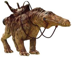 Orray Star Wars Animal Wiki Fandom Star Wars Artwork Star Wars Art Star Wars Characters Pictures