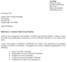 flight attendant resumes