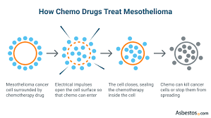 If your diagnosis is thyroid cancer, you may be able to breathe a bit easier, as it's one of the most treatable cancers when caugh. Chemotherapy For Mesothelioma Patients Types Side Effects