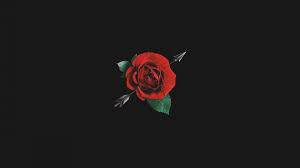 Find the best aesthetic tumblr backgrounds black on wallpapertag. Free Download Aesthetic Red Rose With Black Background 2200x3300 For Your Desktop Mobile Tablet Explore 49 Red Roses Aesthetic Wallpapers Red Roses Aesthetic Wallpapers Red Aesthetic Wallpaper Wallpaper Red Roses