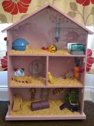 Just Finished This Hamster House For My Hamster Phoebe Hamster Homemade Diy Cage Hamster Hamsters Gerbille
