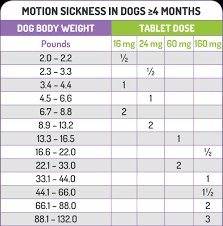 Prevent Car Sickness In Dogs Prevention Of Dog Vomiting