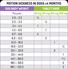 prevent car sickness in dogs prevention of dog vomiting