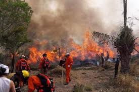 El mayor incendio se produjo en la república de. Bolivia En Alerta Ante Condiciones Que Anuncian Riesgo De Incendios Forestales Como En 2019 Y 2020