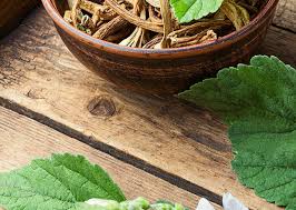 There are no known contraindications to the use of marshmallow root; Marshmallow Root Natural Products Womens Wellness Healing