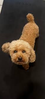 My baby for 12 years was lost