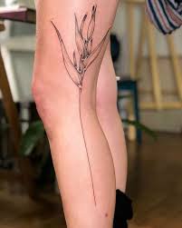 Pin Em Tatuira