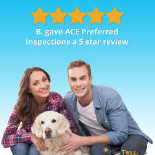 These documents can only be obtained by players with the home turf episode from collection nodes found around ace chemicals. B W Gave Ace Preferred Inspections A 5 Star Review On Sotellus
