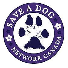 See more ideas about dogs, pets, save a dog. Save A Dog Network Canada Home Facebook