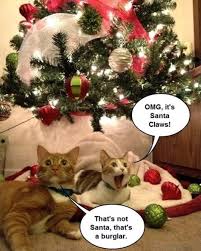 Find and save christmas cookie meme memes | from instagram, facebook, tumblr, twitter & more. 80 Best Funny Christmas Memes