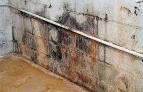 Check spelling or type a new query. Spray Foam Insulation Will Keep A Basement Dry Foam Kit Solutions