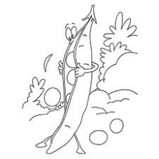 Opened pea pod with seeds. Top 10 Peas Coloring Pages For Toddlers