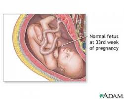 Bila si kecil sudah terbiasa dengan acara makan serta tidak lagi mengalami masalah berarti saat makan,mungkin sudah jangan khawatir jika bayi moms belum tumbuh gigi, selama makanan yang moms siapkan cukup lembut, gusinya yang keras bisa digunakannya untuk. Subhanallah Menakjubkan Foto Perkembangan Janin Dalam Kandungan Dari Minggu Ke Minggu Islam Will Dominate