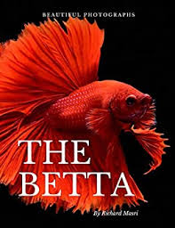 Check the latest price on ebay. Beautiful Photographs Of The Betta A Collection Of Betta Fish Photos Adorable Animals Kindle Edition By Masri Richard Children Kindle Ebooks Amazon Com