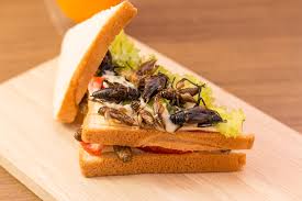 Volatile food prices and a growing population mean we have to rethink what we eat, say food futurologists. Are Insects The Future Of Food Science Abc