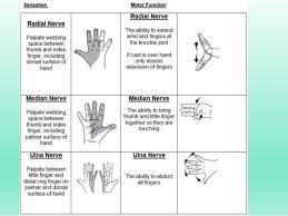 neurovascular assessment