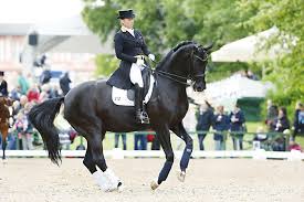 Enjoy the videos and music you love, upload original content, and share it all with friends, family, and the world on youtube. 16 09 D2334b Isabell Werth Ger Weihegold Old Abreiten Training Ausbildung Abreiten Jacques Toffi Fotograf Photographer