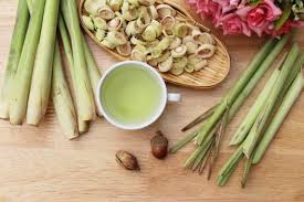 15 công dụng của sả có thể khiến bạn bất ngờ • Hello Bacsi