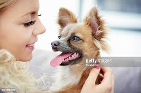 420 Tara Small Stock Photos, High-Res Pictures, and Images