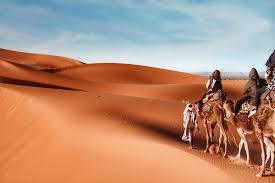 Two copies of regular desert camel are obtained by defeating rafaam unleashed, the fourth boss in the league of explorers's fourth wing, the hall of explorers. Merzouga Travel Guidebook Must Visit Attractions In Merzouga Merzouga Nearby Recommendation Trip Com