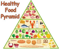 The water used as a beverage and in drinks such as coffee and tea also needs to be treated on a neutropenia diet. 5 Food Groups Pyramid 35 Images 25 Beautiful 4 Food Groups Pyramid Food Pyramid With Five Levels Stock Vector The Health