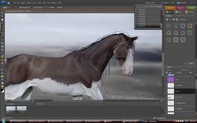 Check spelling or type a new query. How To Draw A Black Mane And Tail Using Photoshop