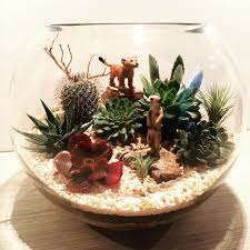 Animal Kingdom Happyplaceterrariums Terrariums Animallover Succulents Airplants Tillandsia Sutherlandshire Sydn Succulent Bowls Succulents Terrarium