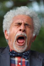 Finding Fanny (2014)