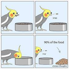 Pin On Bird Memes