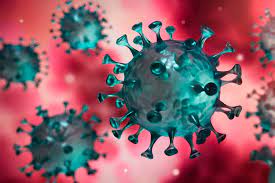 09:57 | el ministro de salud, norihisa tamura ha informado hoy que la nueva cepa de coronavirus llegó al país a través de. 7 Puntos Clave Para Saber Que Pasa Con La Nueva Cepa De Coronavirus Tecnologico De Monterrey
