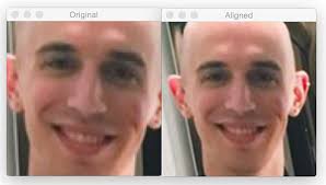 Morphthing combines two faces into one! Face Alignment With Opencv And Python Pyimagesearch