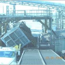 Image result for Panicum habrothrix