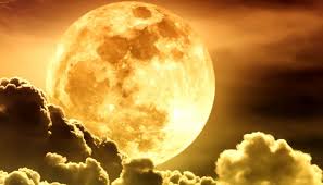 Resultado de imagem para fotos ou imagens da lua cheia