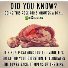 Pin By J Webster 1 On Did You Know In 2020 Yoga Benefits Easy Yoga Workouts Types Of Yoga